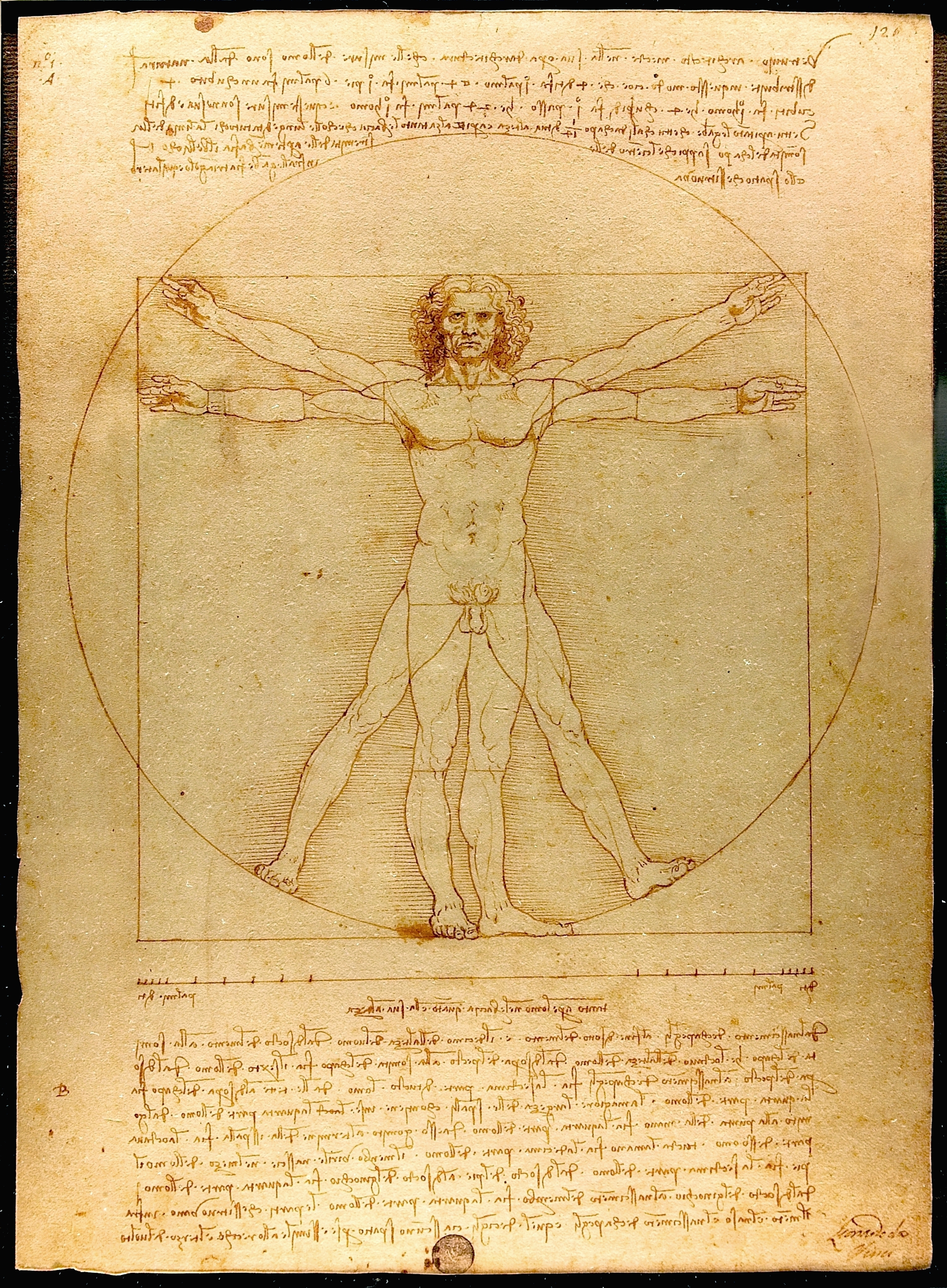 Leonardo da Vinci, Vitruvian Man, 1485-90, Galleria dell' Accademia, Venice (image: Luc Viatour / www.Lucnix.be)