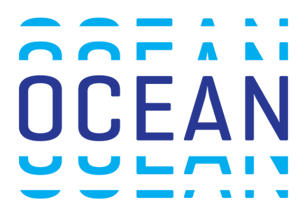 Open Copyright Education Advisory Network (OCEAN) Discussion Series (online/October 2024-January 2025)